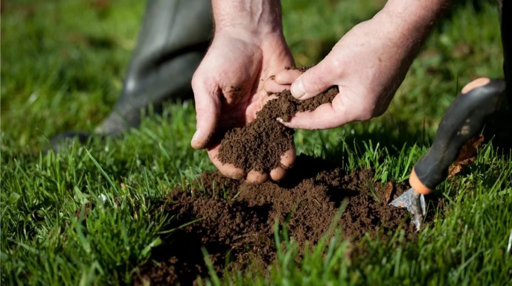 Close-up of hands holding rich, dark soil over a green lawn, with a small gardening tool nearby. The soil appears loose and healthy, ideal for planting or lawn improvement.