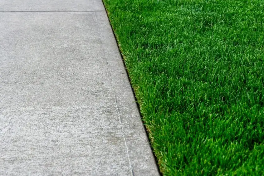 Close-up view of a neatly edged lawn beside a clean concrete sidewalk, showing a sharp, well-defined border between the green grass and pavement.