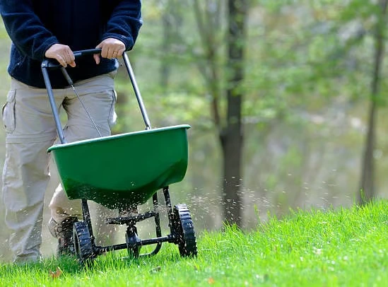 Person using a green push broadcast spreader to apply granular product on a sloped grassy lawn in a wooded area. Fertilizer is visibly spreading from the machine.