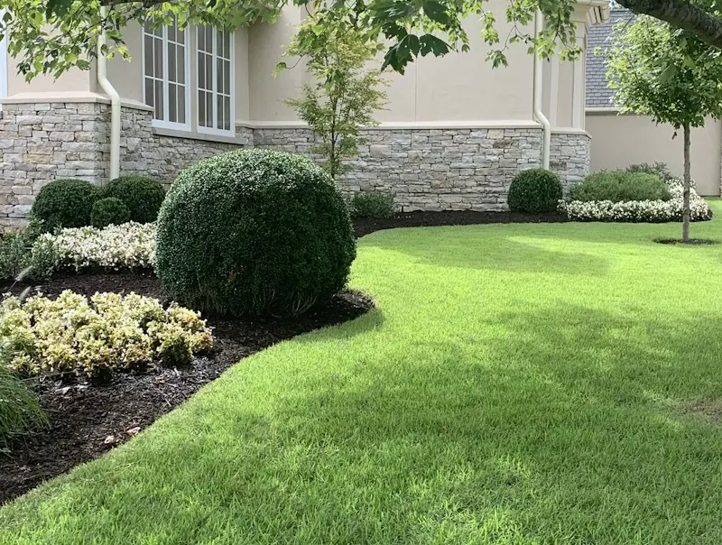Well-maintained residential landscape featuring neatly edged garden beds with trimmed shrubs, dark mulch, and ornamental plants. The lush green lawn curves around the beds, leading up to a stone-faced house with large windows and guttering.