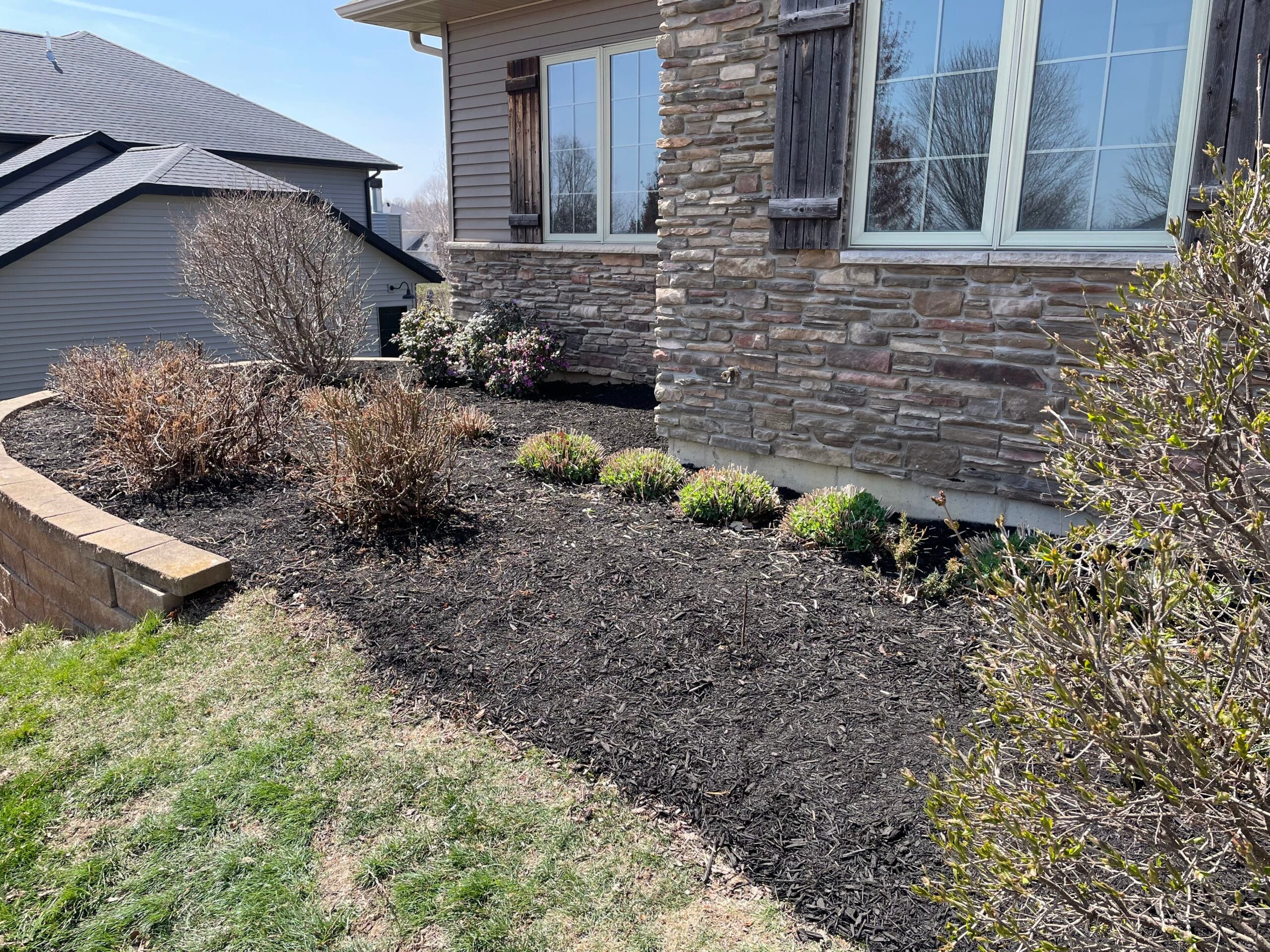 Front yard flower bed with fresh black mulch and trimmed shrubs along a stone house