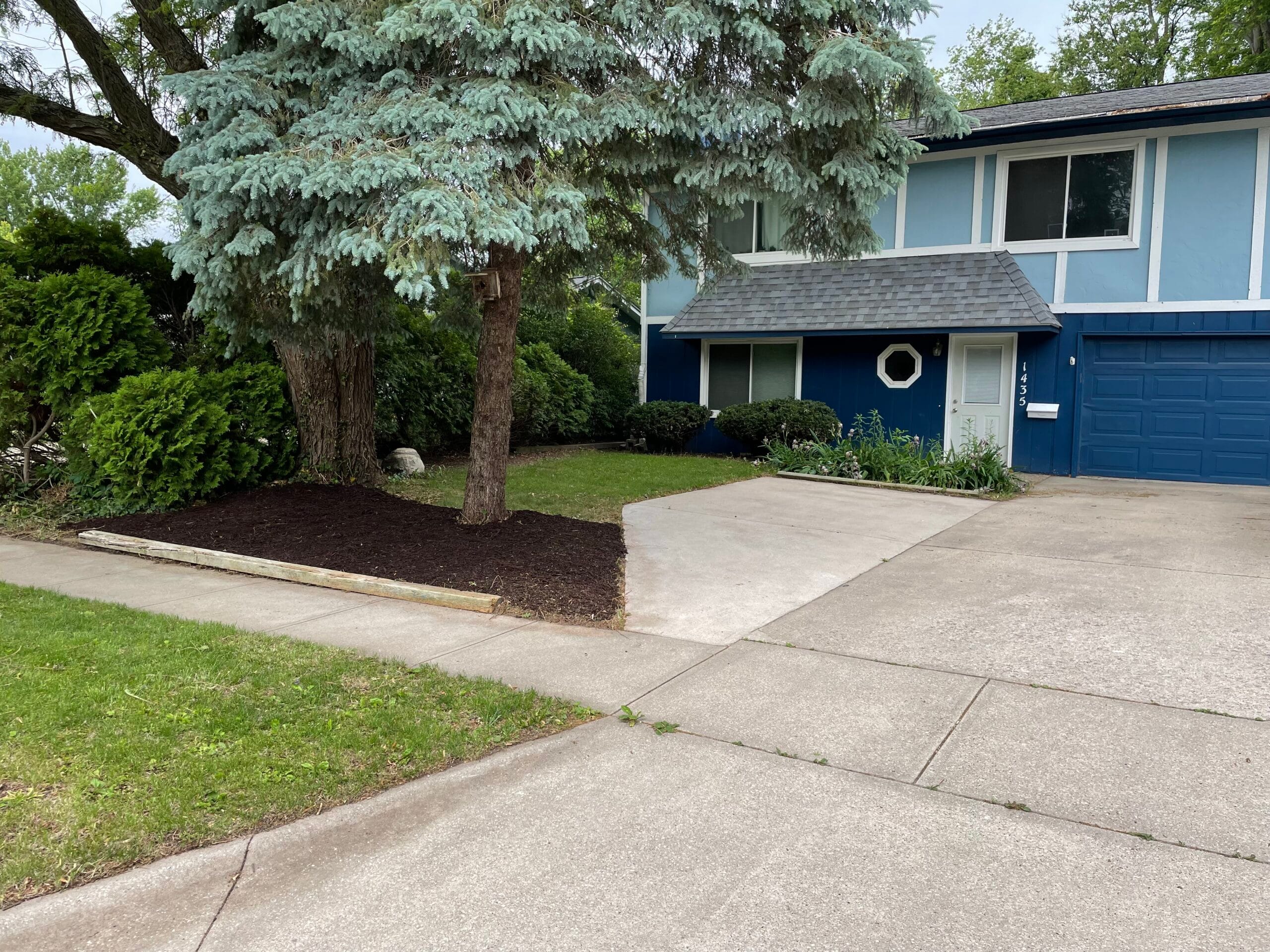 Freshly mulched tree bed and front landscape at a blue house with a clean concrete driveway