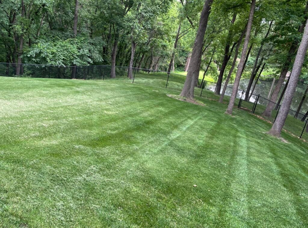 A well-manicured backyard lawn with visible mowing stripes, bordered by a wooded area and a black chain-link fence. Tall trees provide partial shade, and a small body of water is visible through the trees on the right side.
