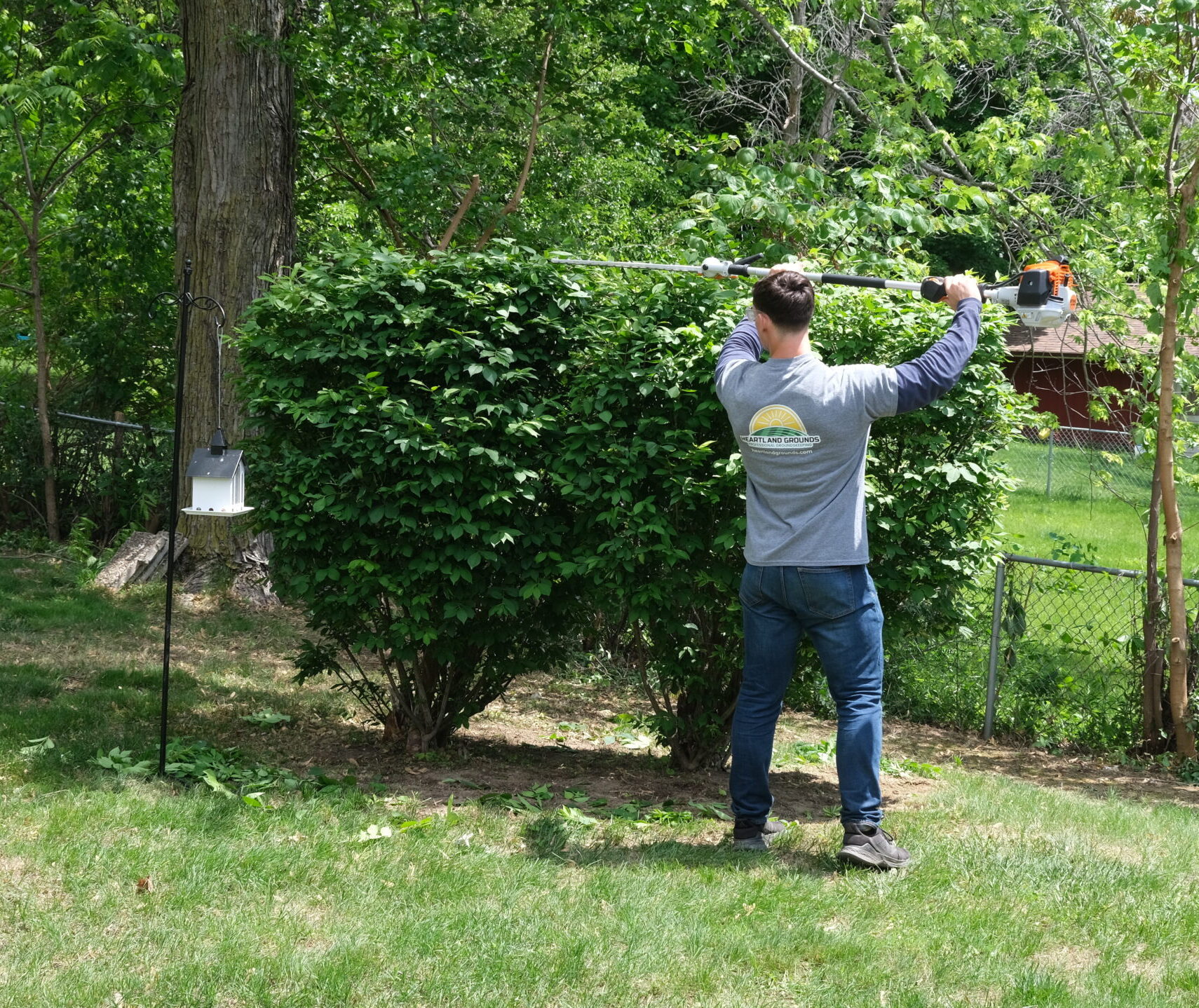 Groundskeeper trimming a large shrub with a pole trimmer in a residential backyard