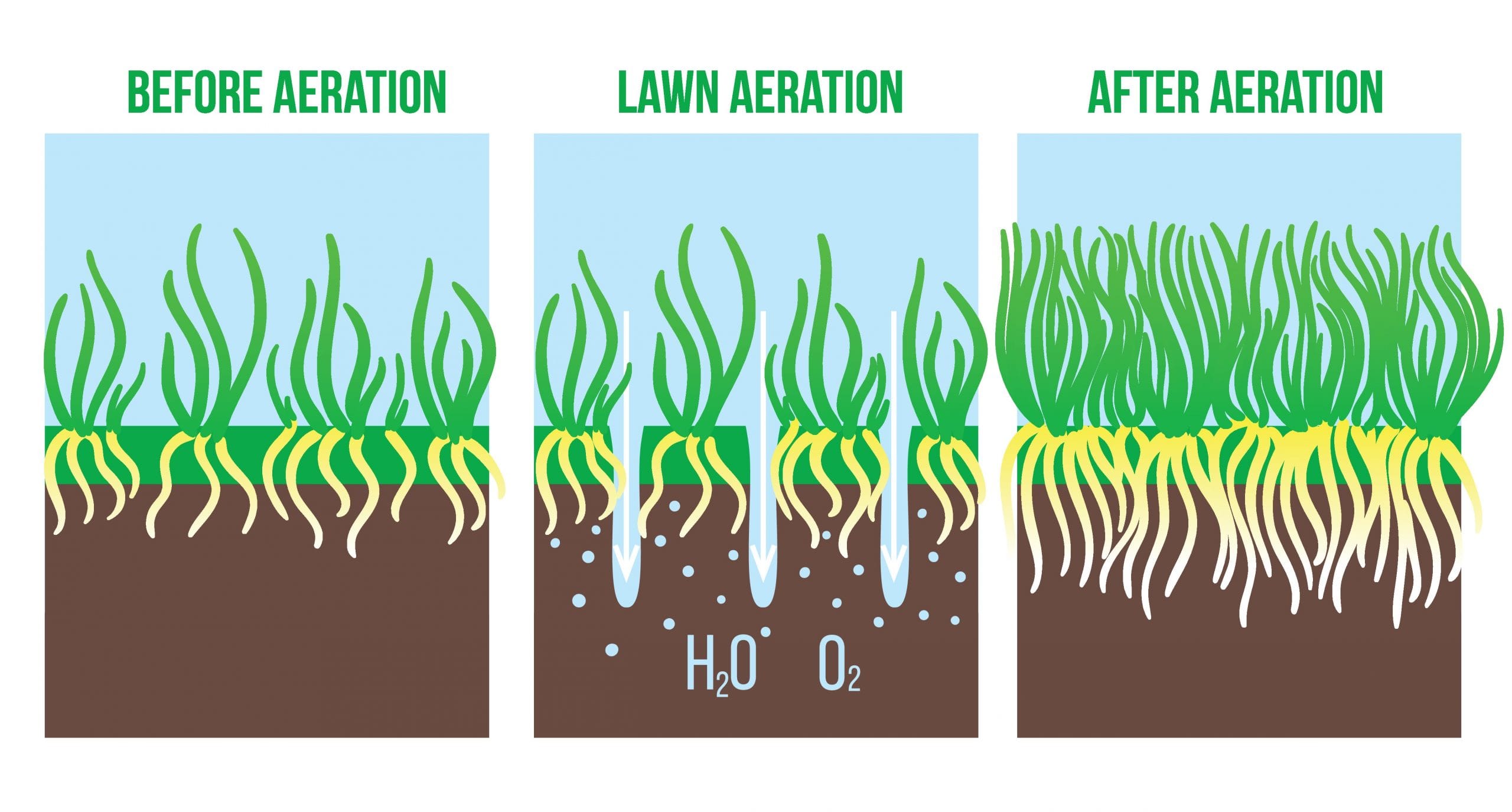 Illustration showing the stages of lawn aeration. The first panel, labeled “Before Aeration,” depicts compacted soil and shallow roots. The middle panel, “Lawn Aeration,” shows holes in the soil allowing water (H₂O) and oxygen (O₂) to penetrate. The final panel, “After Aeration,” displays a lush lawn with deeper, healthier roots