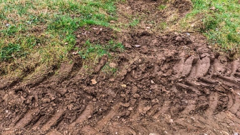 compacted-soil