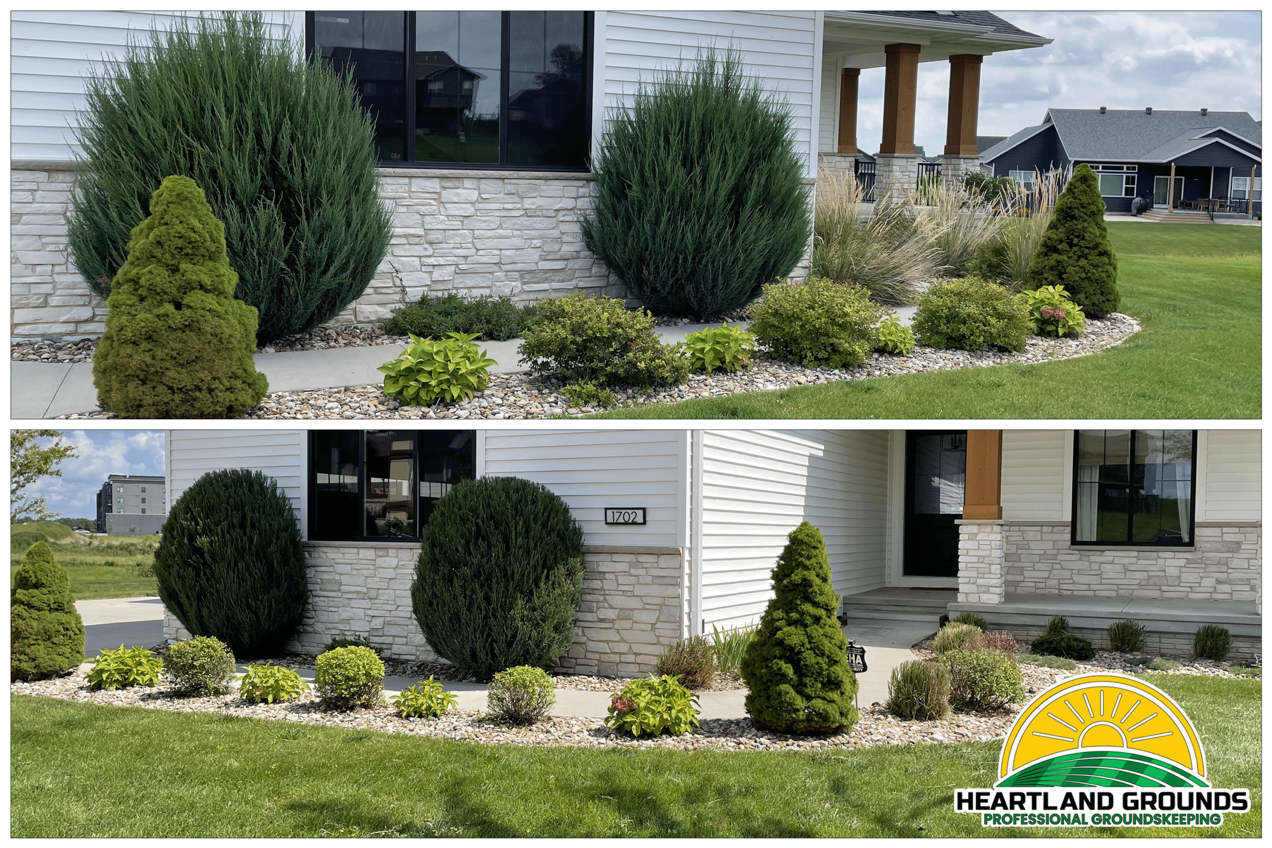 Before and after landscaping photos showing neatly trimmed shrubs, shaped evergreens, and cleaned flower beds in front of a white house with stone accents. Work completed by Heartland Grounds, Professional Groundskeeping.