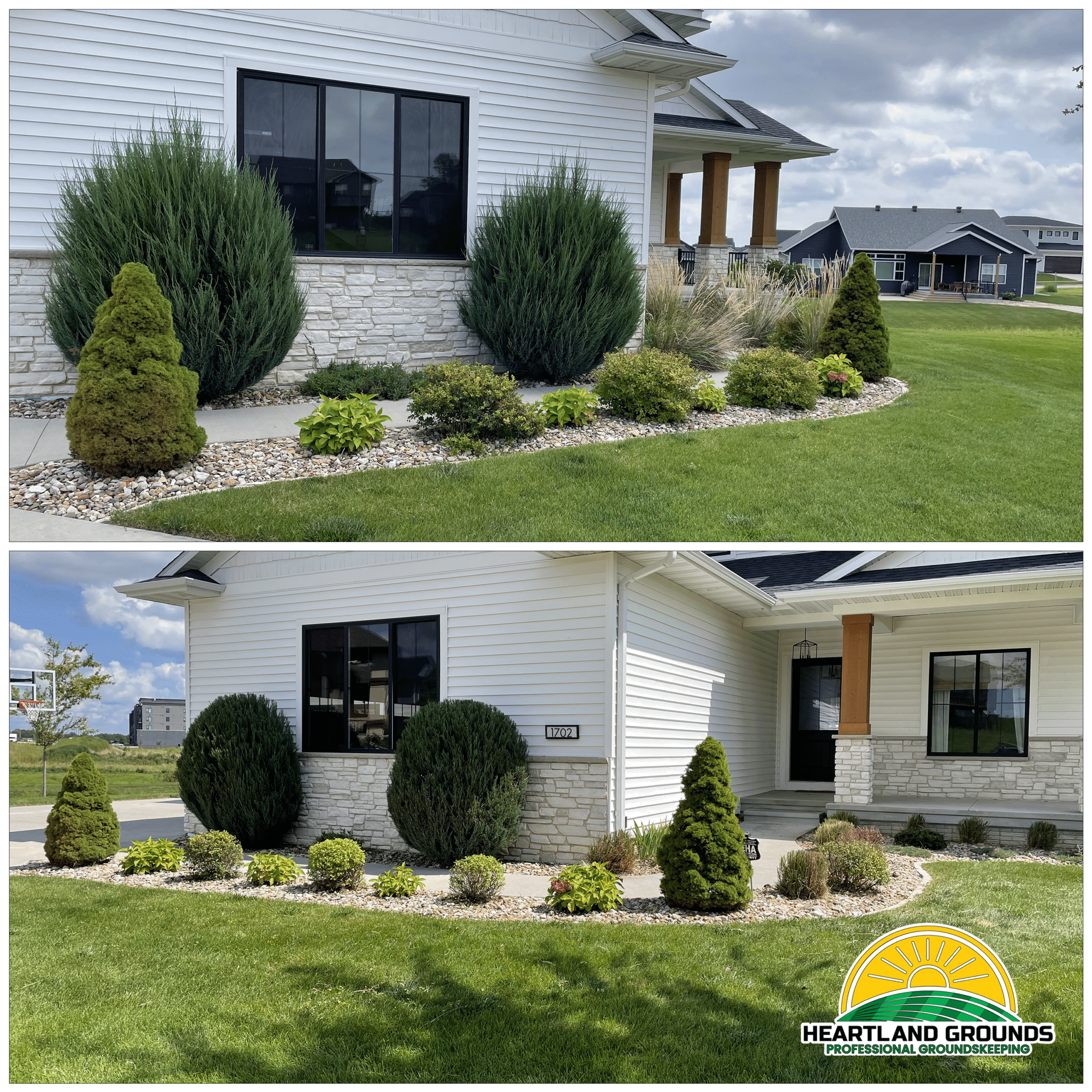 Before and after landscaping photos showing neatly trimmed shrubs, shaped evergreens, and cleaned flower beds in front of a white house with stone accents. Work completed by Heartland Grounds, Professional Groundskeeping.