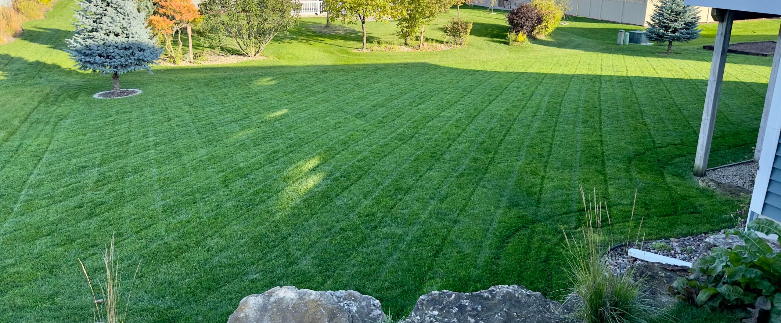 Freshly Overseeded Lawn with Defined Mowing Stripes