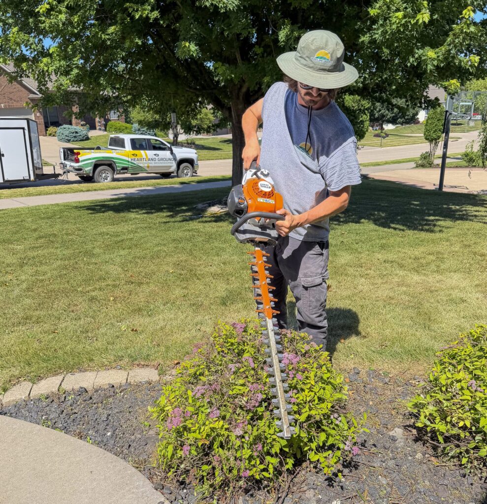 Heartland Grounds technician professionally trimming an ornamental shrub with a hedge trimmer at a residential property in Iowa.